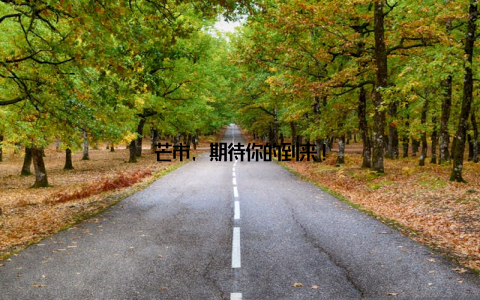 芒市, 期待你的到来!