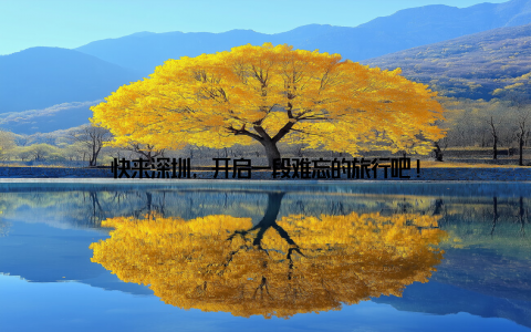 快来深圳, 开启一段难忘的旅行吧!