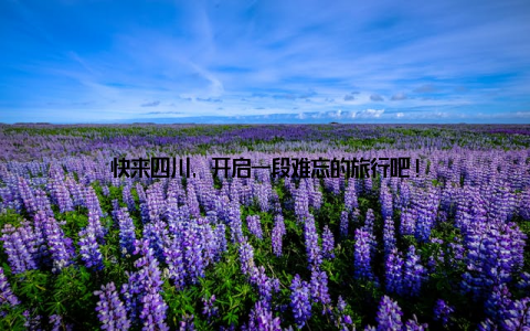快来四川, 开启一段难忘的旅行吧!