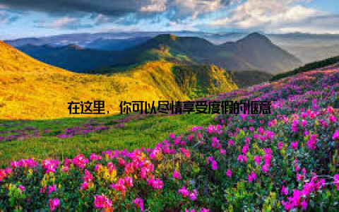 在这里, 你可以尽情享受度假的惬意