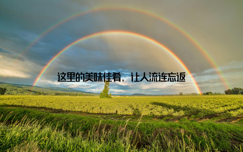 这里的美味佳肴, 让人流连忘返