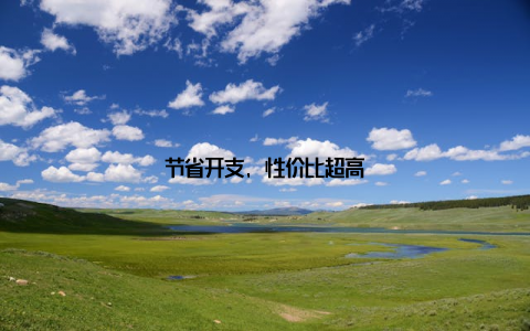 节省开支, 性价比超高