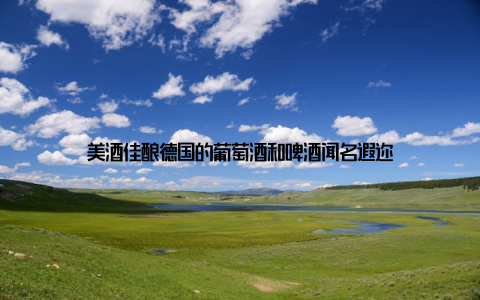 美酒佳酿德国的葡萄酒和啤酒闻名遐迩