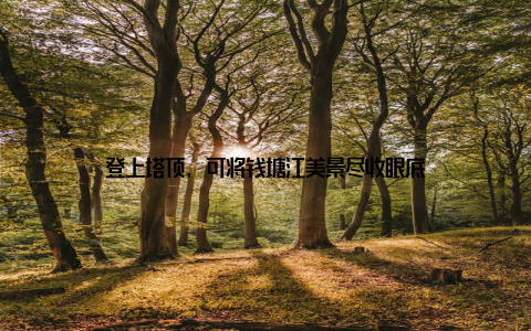 登上塔顶, 可将钱塘江美景尽收眼底