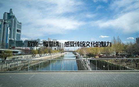 欣赏一幅蜀绣, 感受传统文化的魅力