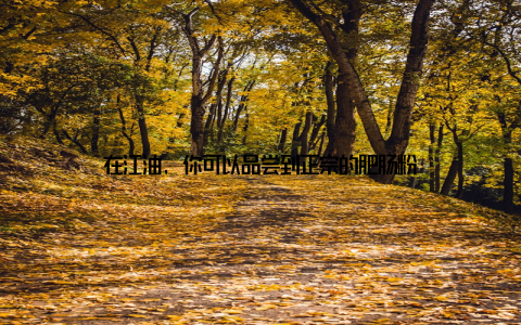 在江油, 你可以品尝到正宗的肥肠粉