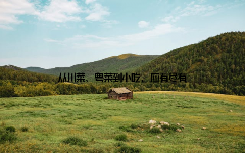 从川菜、粤菜到小吃, 应有尽有