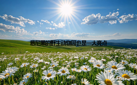 慕尼黑的野生动物园也是一大亮点