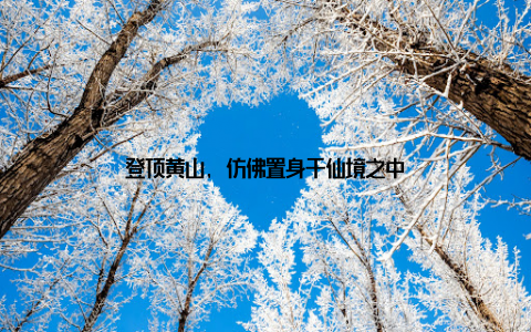 登顶黄山, 仿佛置身于仙境之中