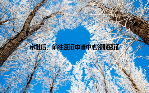 审批后, 前往签证申请中心领取签证