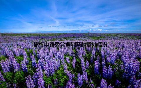 旅行中难免会遇到各种意外情况