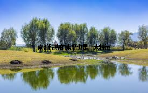 南普陀寺的素斋也是一大特色