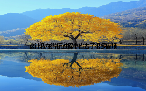 这让我在游玩过程中省去了很多麻烦