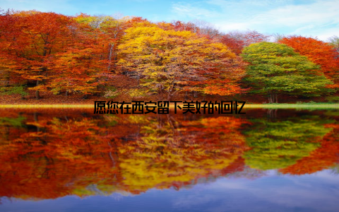 愿您在西安留下美好的回忆