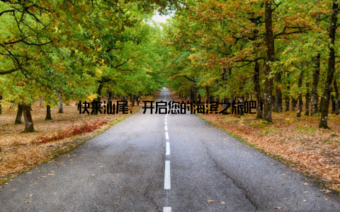 快来汕尾, 开启您的海滨之旅吧!