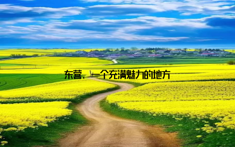 东营, 一个充满魅力的地方