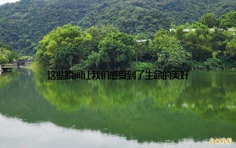 这些瞬间让我们感受到了生命的美好