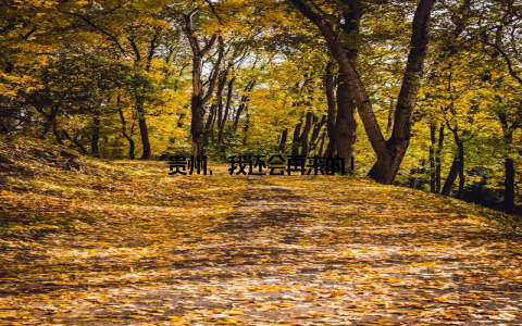 贵州, 我还会再来的!
