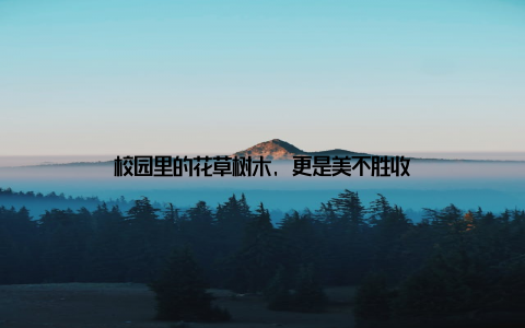 校园里的花草树木, 更是美不胜收