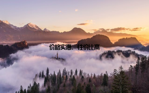 价格实惠, 性价比高