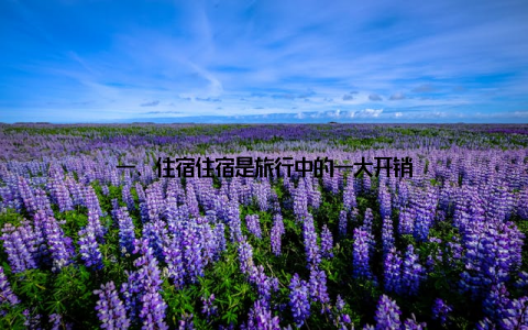 一、住宿住宿是旅行中的一大开销