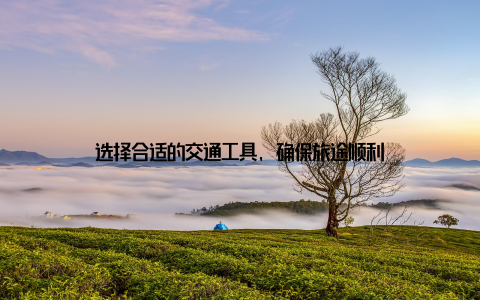 选择合适的交通工具, 确保旅途顺利