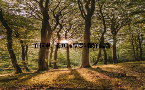 在这里, 你可以享受到家的温馨