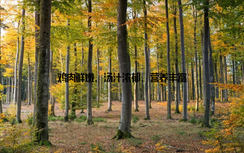 鸡肉鲜嫩, 汤汁浓郁, 营养丰富